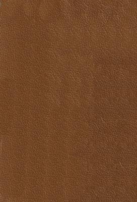 Sahara