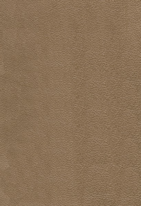 Sandstone