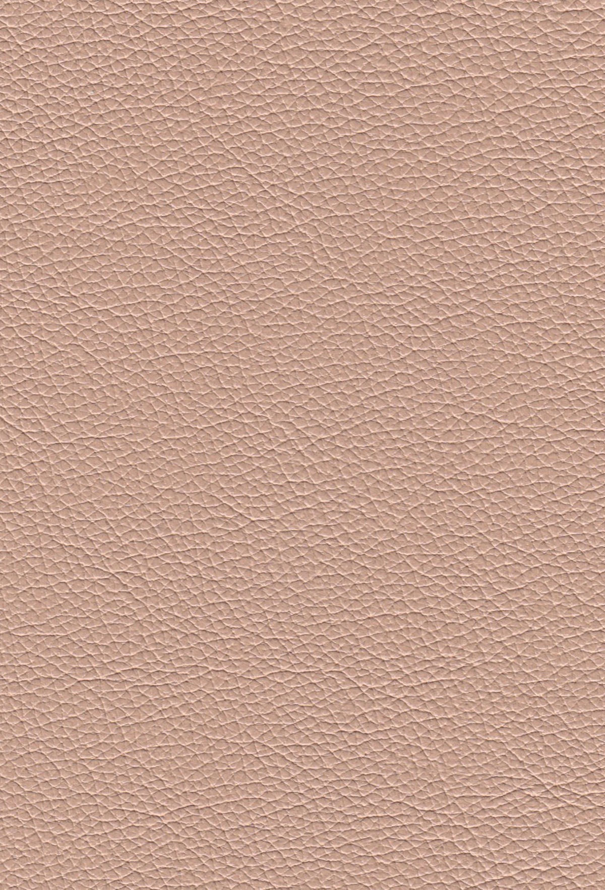 Blush