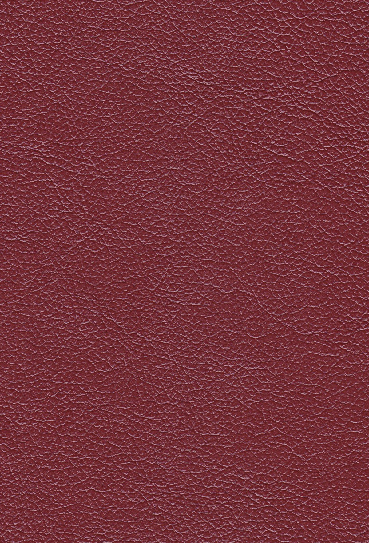 cabernet
