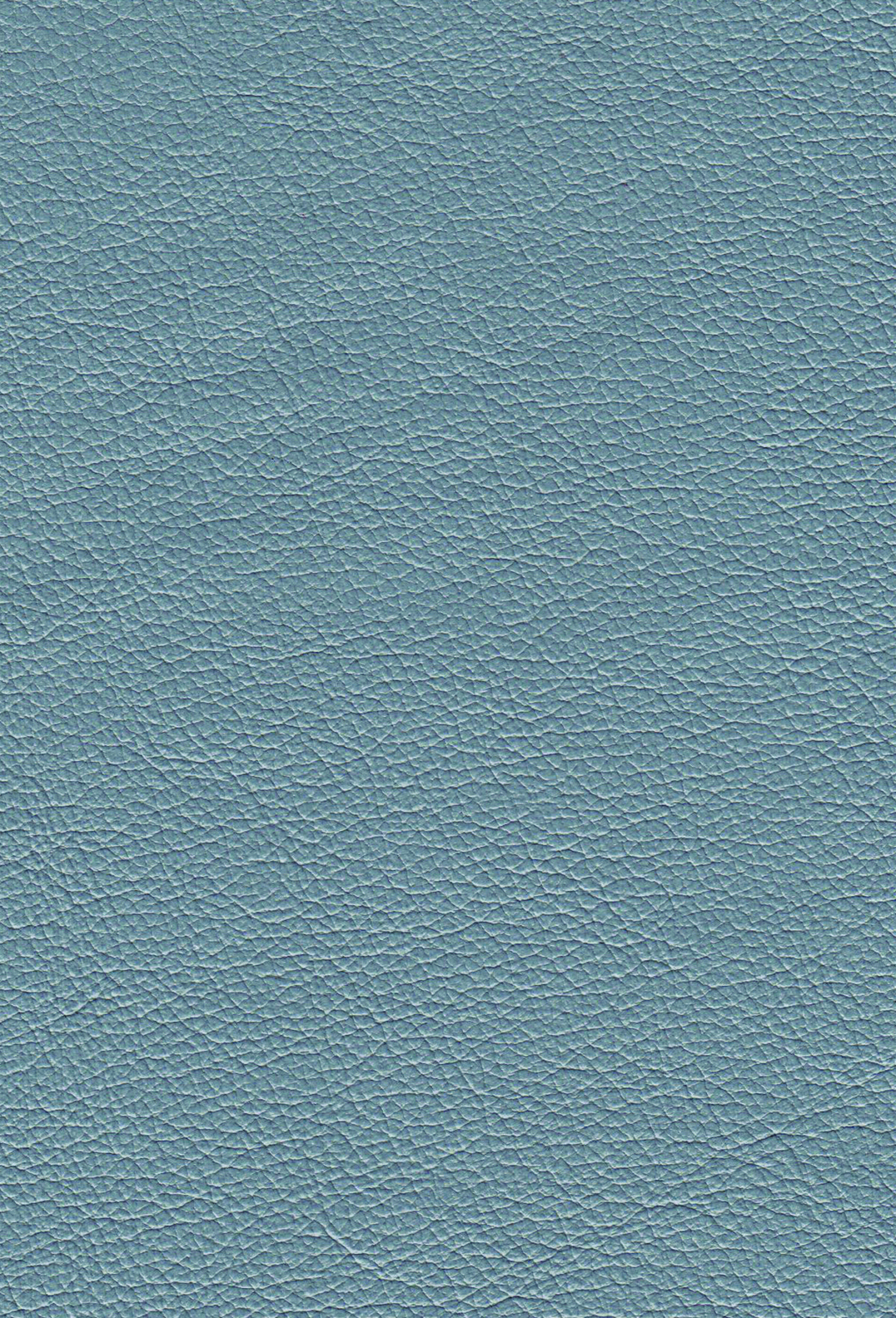 Ocean
